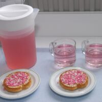 Beschuit met muisjes Beschuit met muisjes